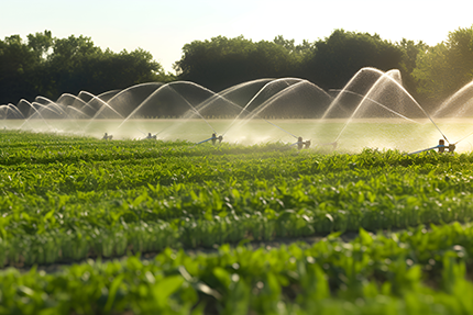 a438062dc3caf18164fbf4aa7d13dafc